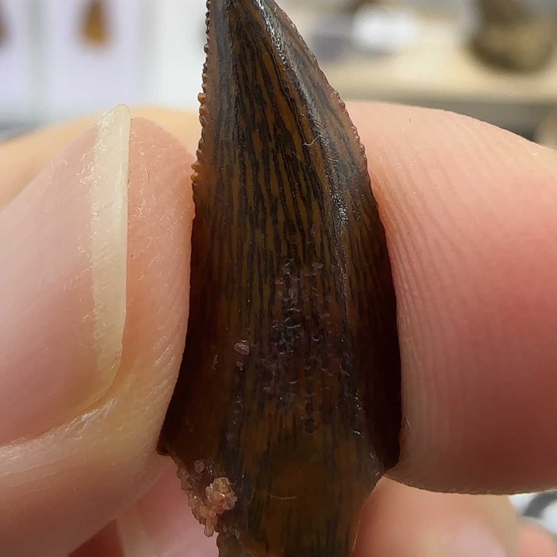 琉璃/树脂/塑料类