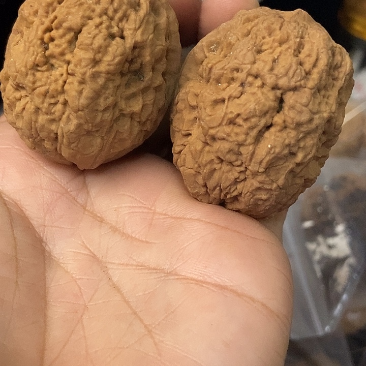 把件文玩核桃云南铁核桃基地40