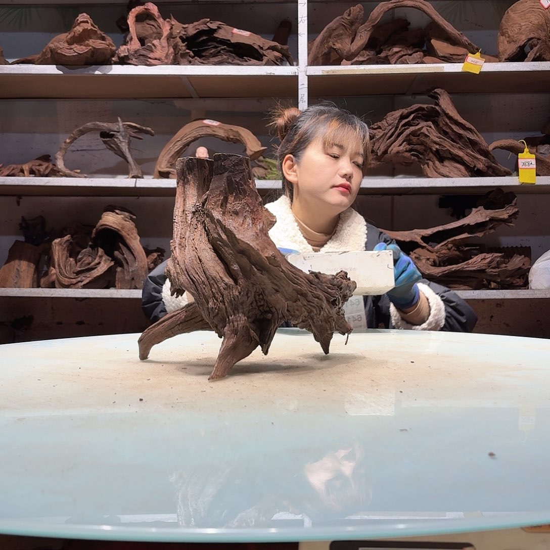 倍褚沉木不包损必褪色嗯*6417