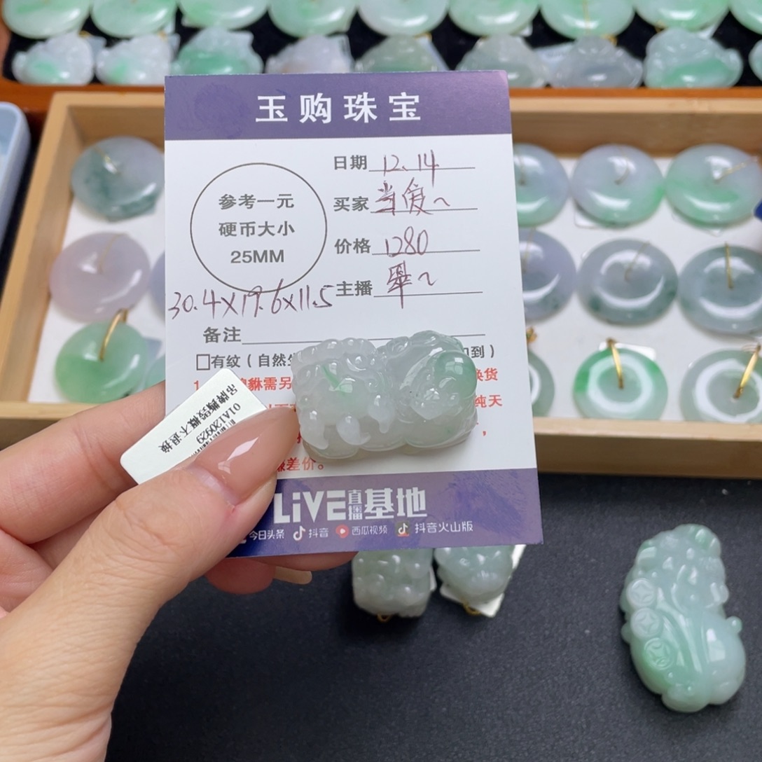 翡翠未镶嵌颈饰貔貅