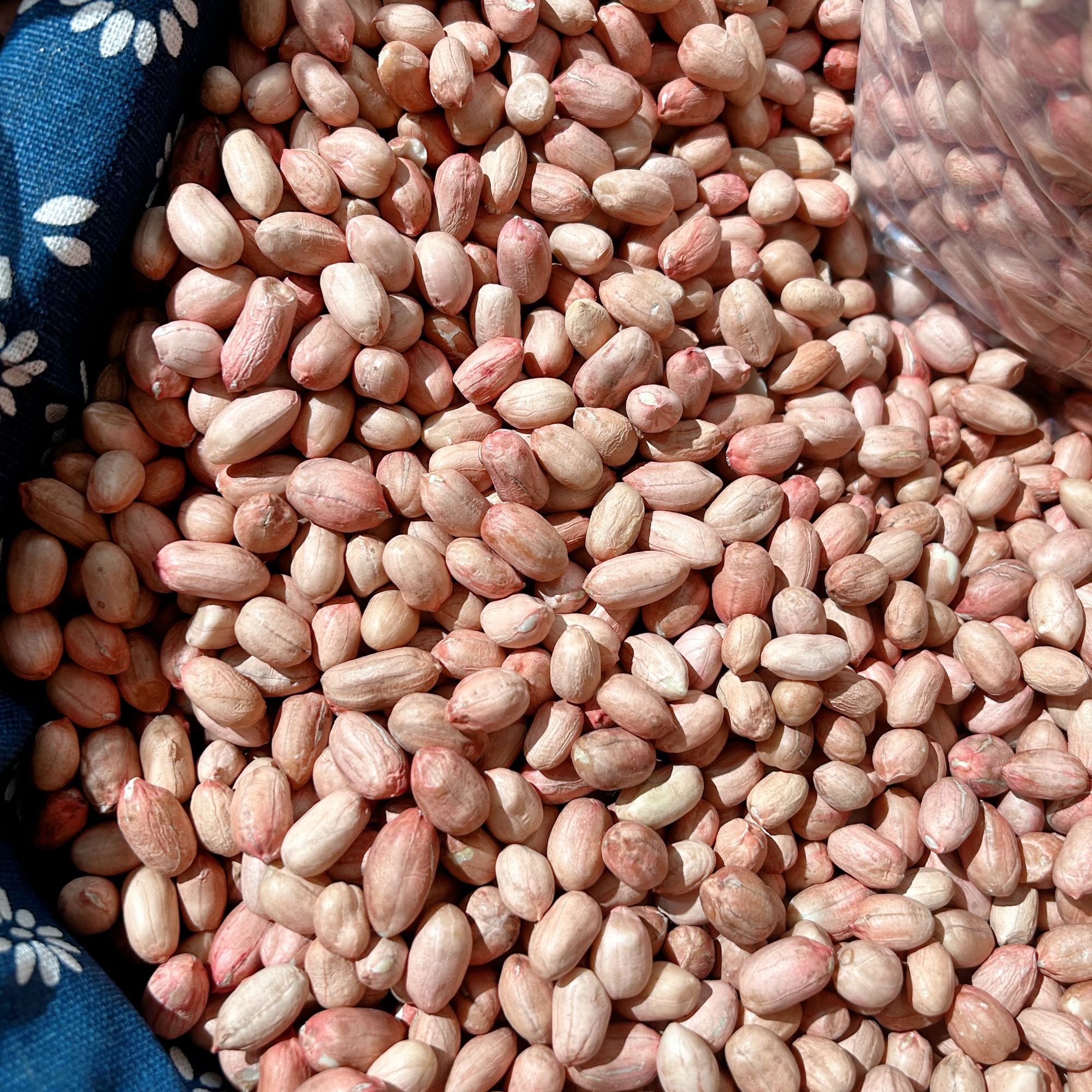 【河南开封长粒香花生米】2025年精选现剥大颗粒新鲜无壳花生米榨油