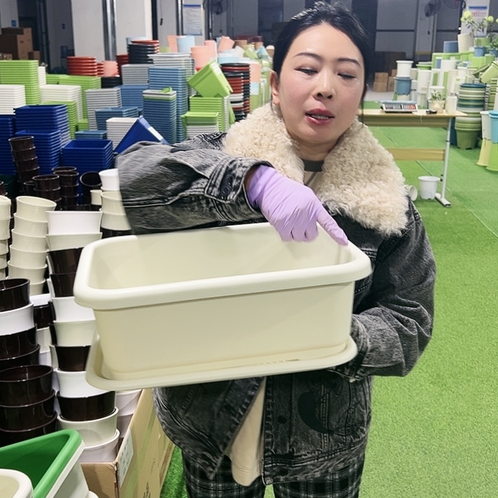 宽体小菜盆长38宽28高15混色3只带托