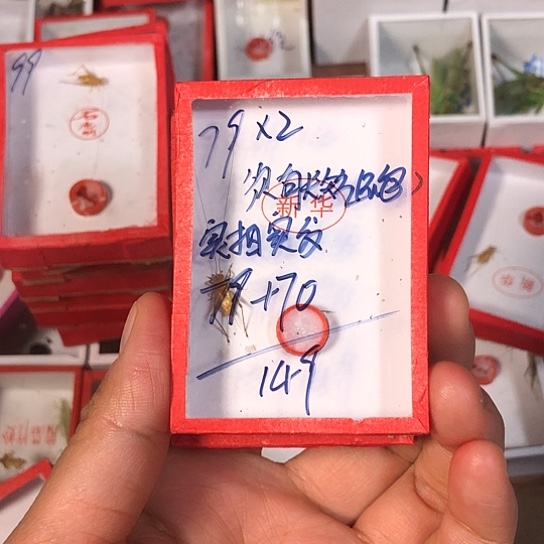 一***白33333333333333333333