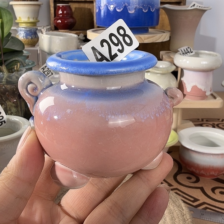满28包邮当天凑够口4高7