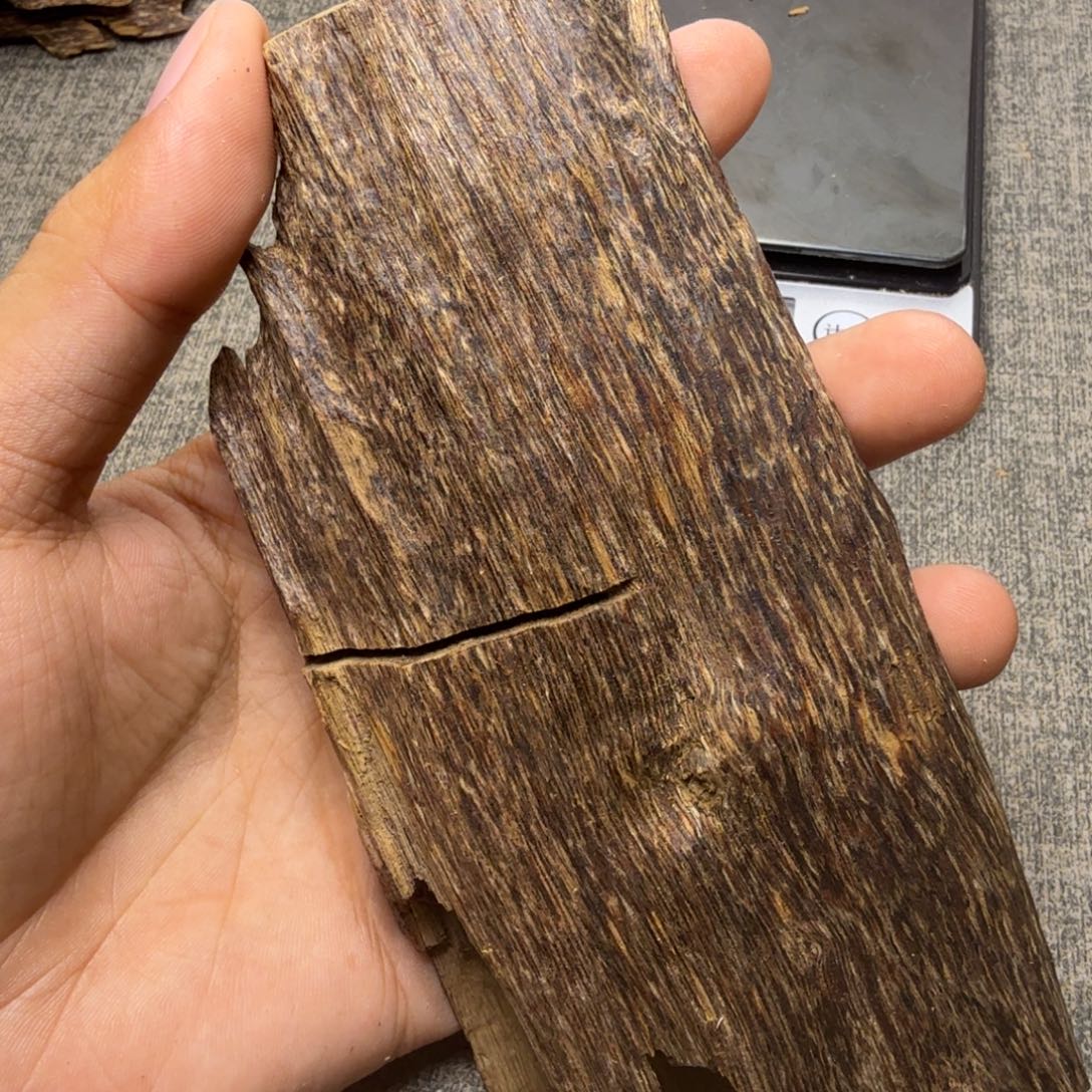 海南五指山47克福利