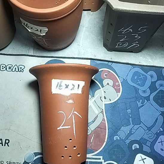 小红兰花两个微瑕