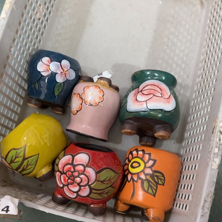 【闪购商品】福利福利福利福利