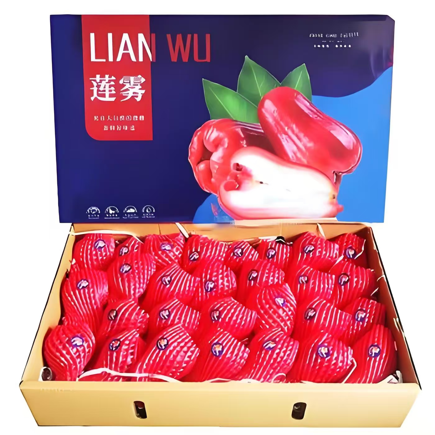 精选鲜美多汁莲雾 3斤净果 顺丰包邮到家【阿班果业】