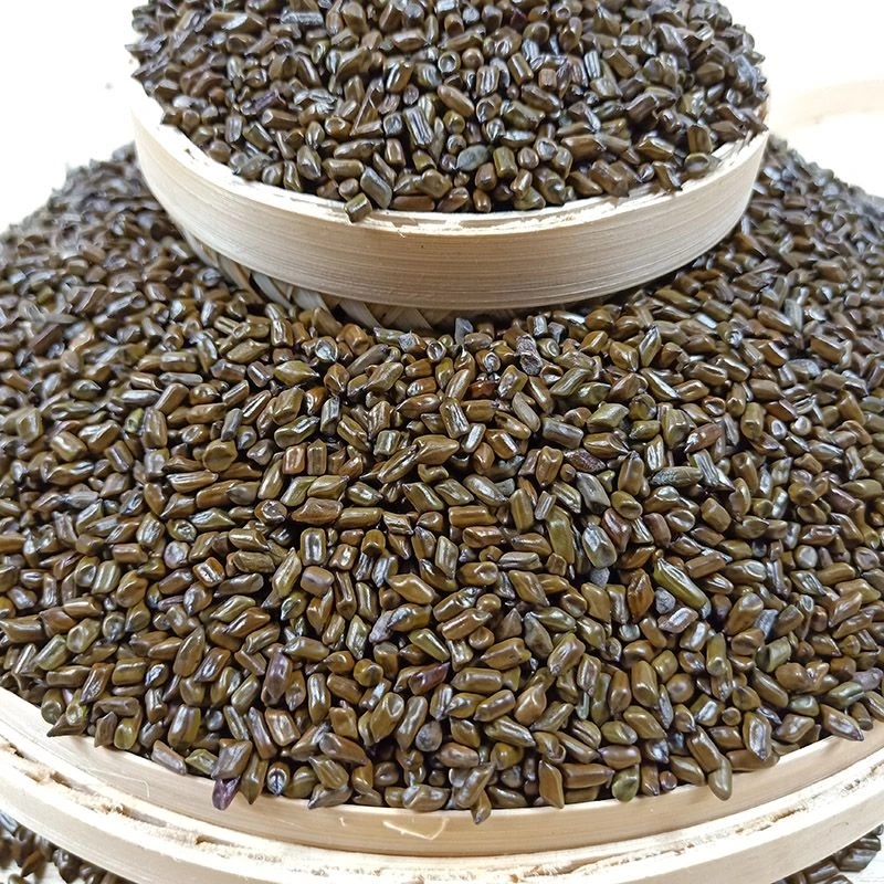 决明子茶滋补养生泡水煮水500克包邮