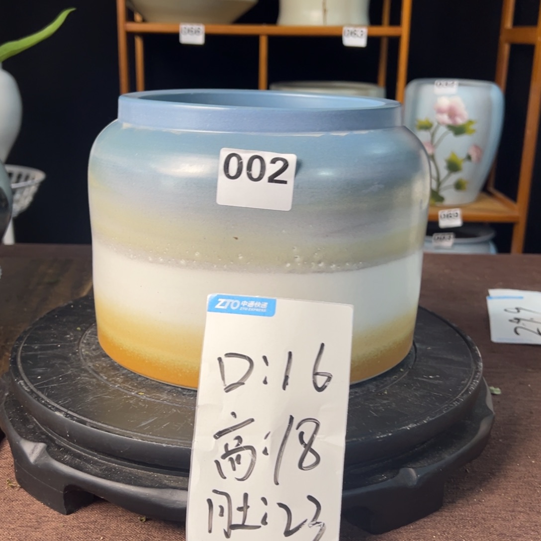 哦执照执照执照执照嘻嘻