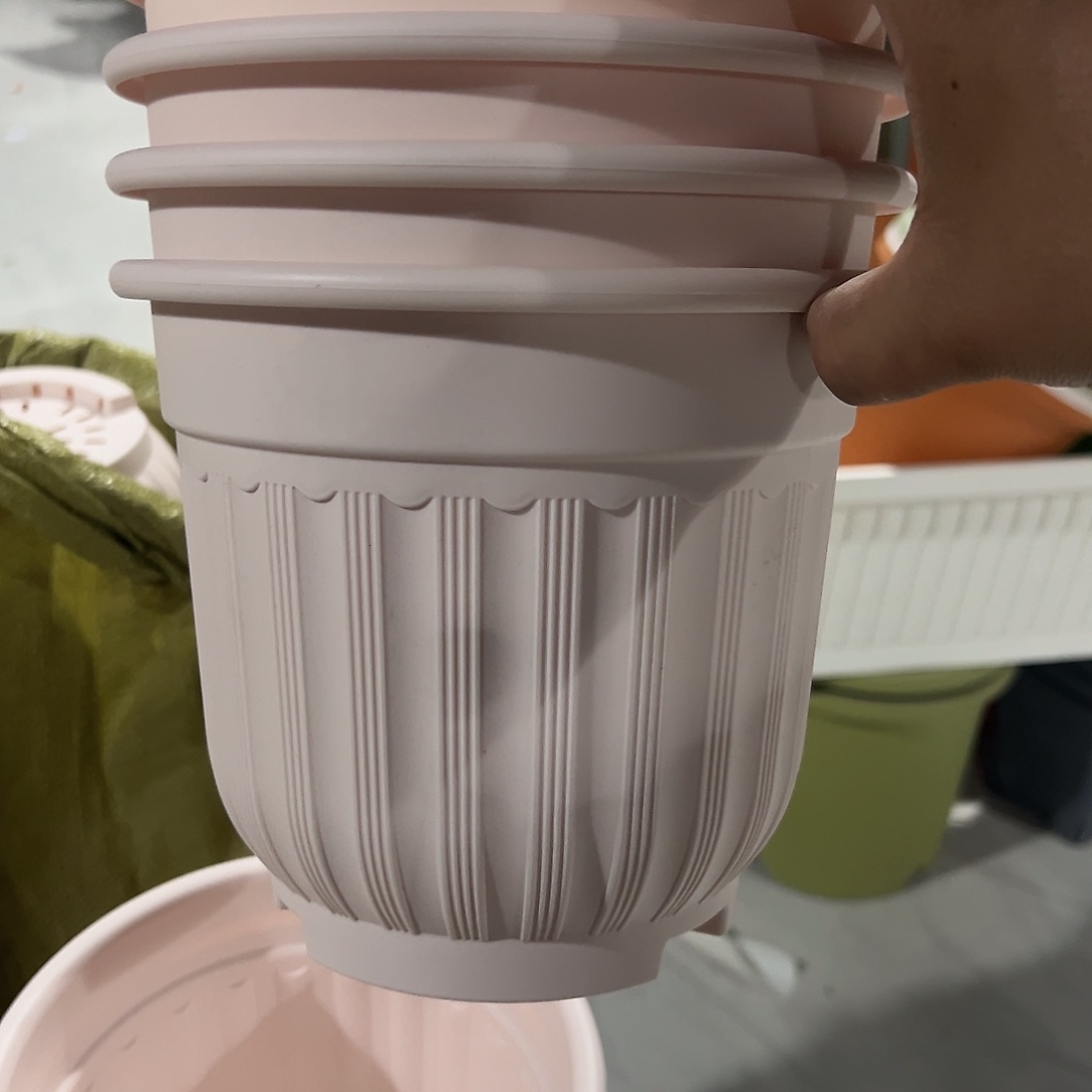 罗马210粉4个无托盘