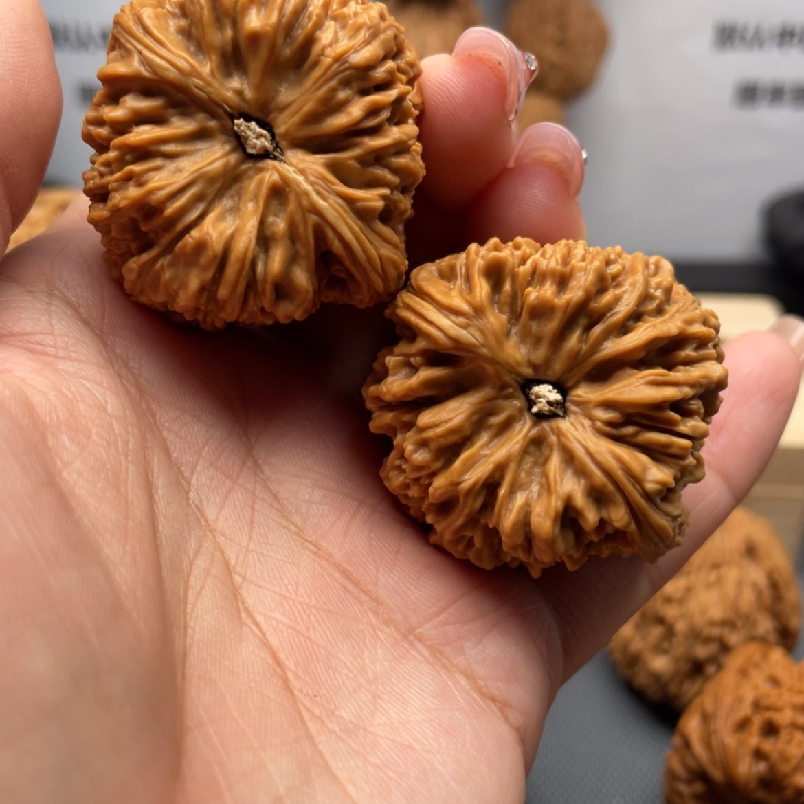 【闪购商品】文玩核桃吊坠特*蟒20号子弹头正高炮