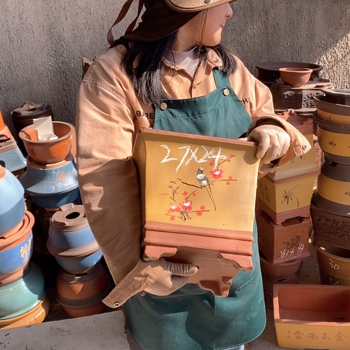 紫砂花盆盆栽花卉苗木种植