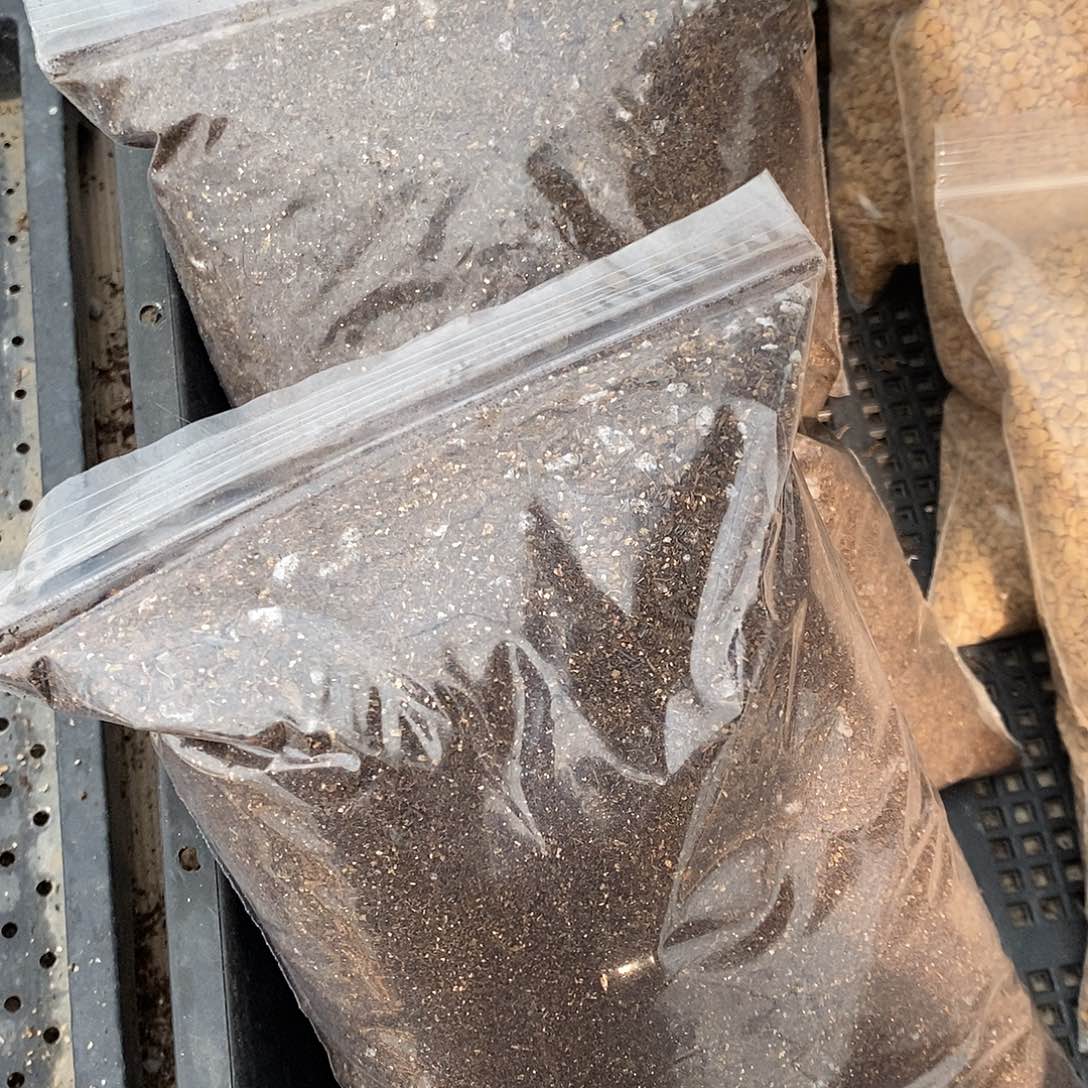 肉锥专用土1份买3送1