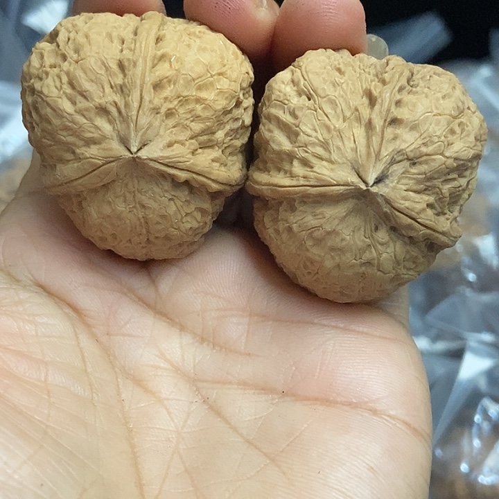 文玩核桃把件云南铁核桃基地66