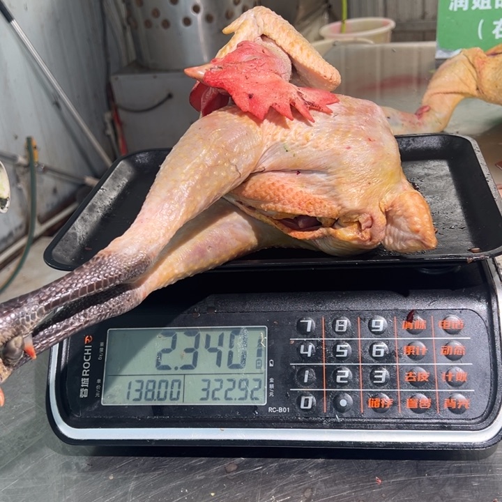 一号公鸡食用农产品中国大陆承****务