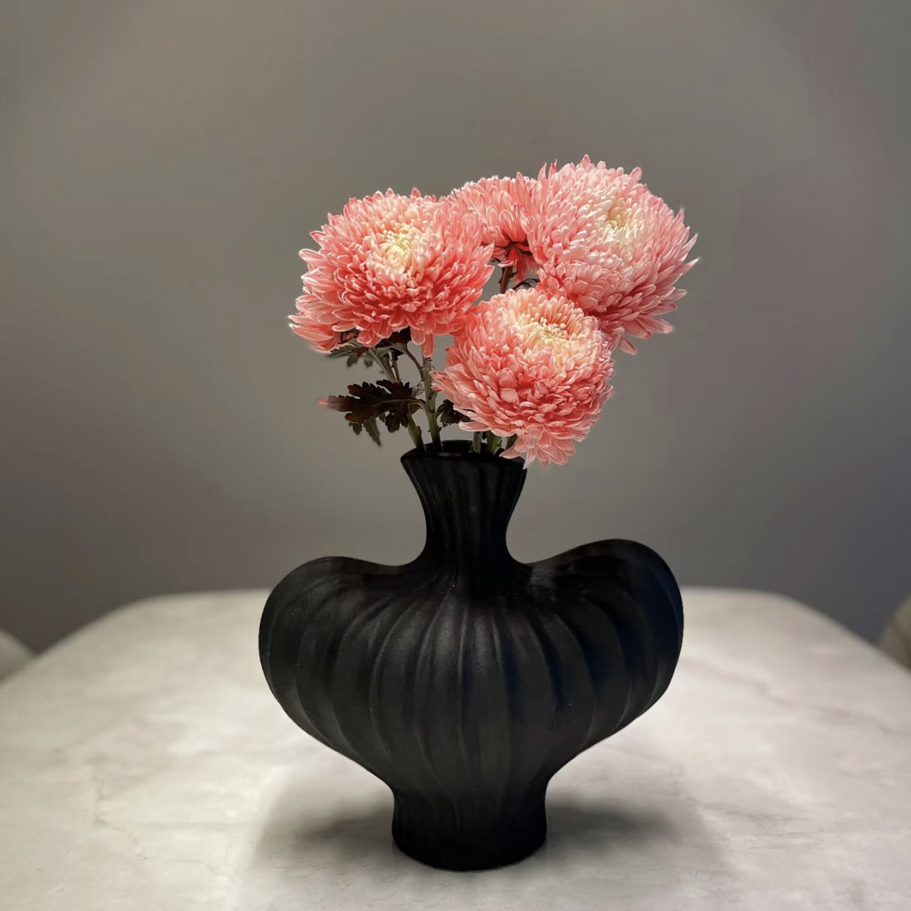 【杨鹏鲜花】胭脂红 牡丹菊 繁荣富贵 云南鲜花包邮