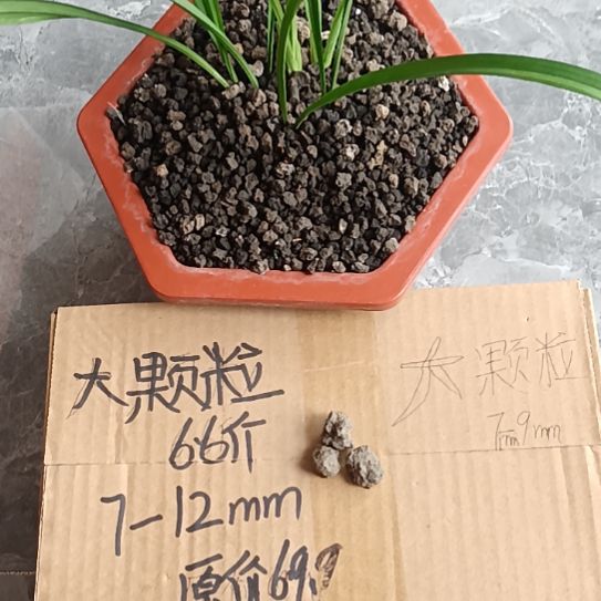 老***怕兰菌黑山土大颗粒6.6斤