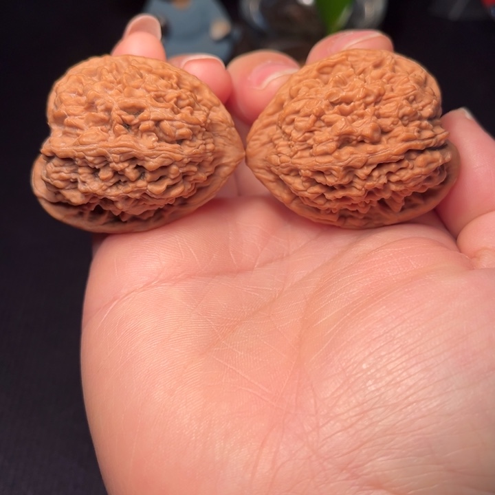 文玩核桃把件蚂蚁王37