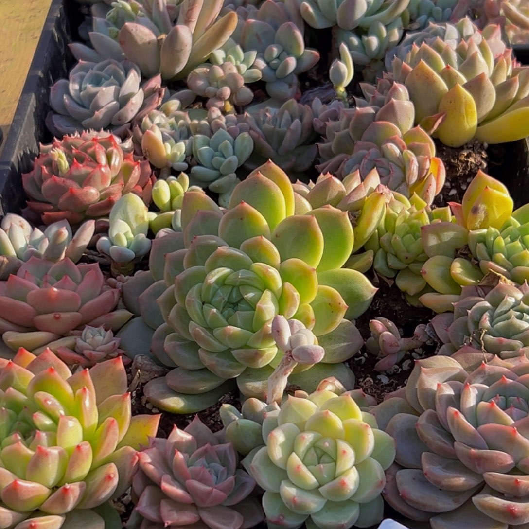 576大热天的一天从早上