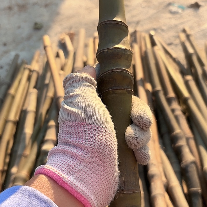 天***⁾实心竹哦竹竹竹竹竹木