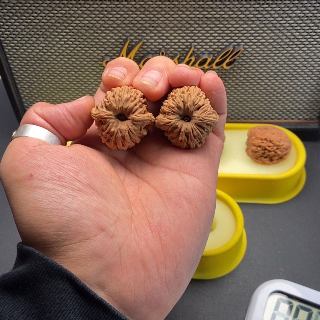 魔*人34全品涿鹿姜黄皮拉丝凹底南疆 