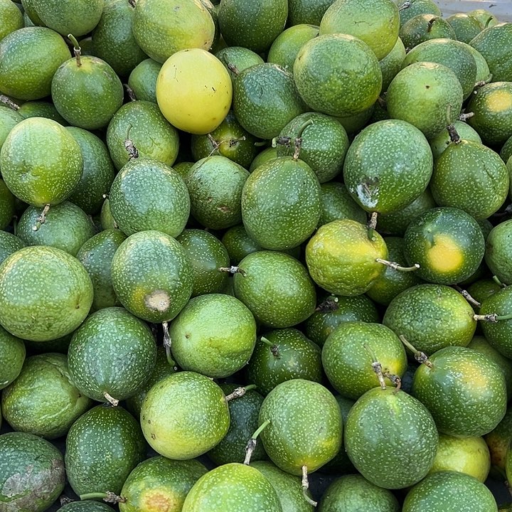 云南农家百香果4斤