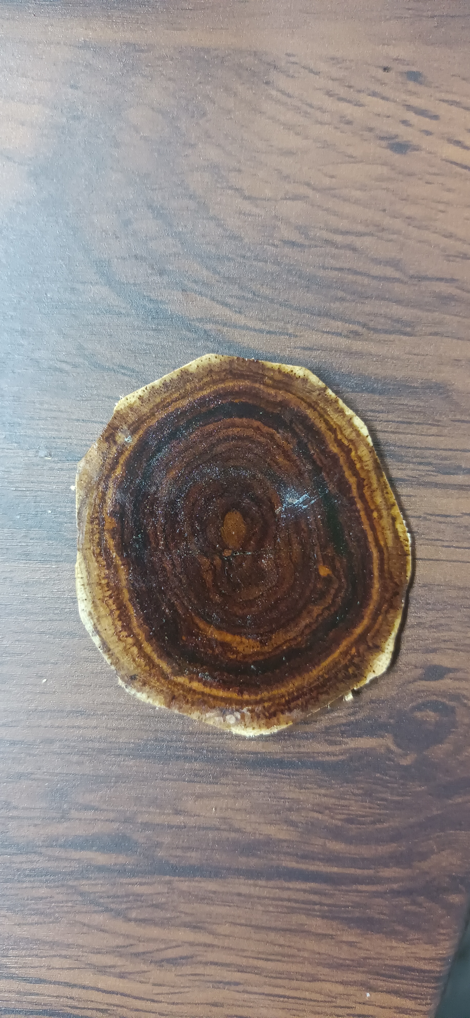 海南黄花梨 样品 直播间链接专用