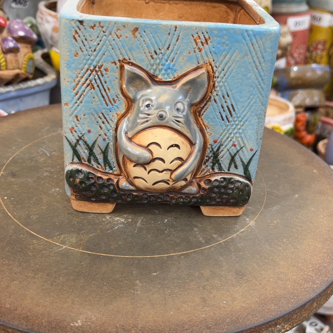 凑满15包邮发货发货孤品没货了