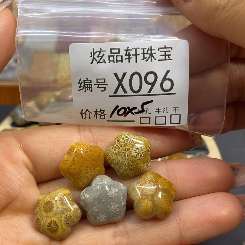 【闪购商品】硅化珊瑚（珊瑚玉）颈饰未镶嵌大*橙K96