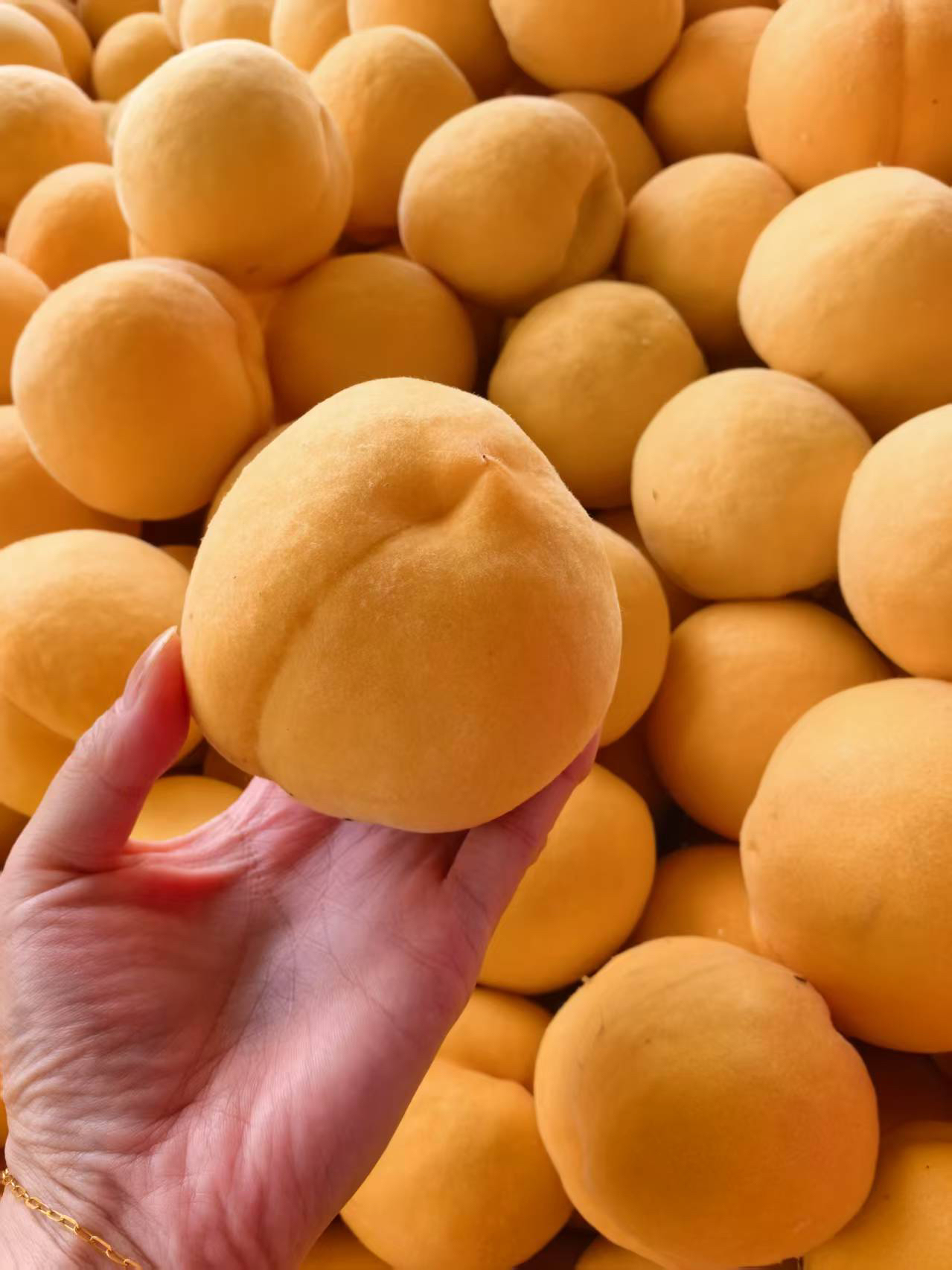 蒙阴现摘新鲜黄桃应季水果脆甜多汁脆软两吃