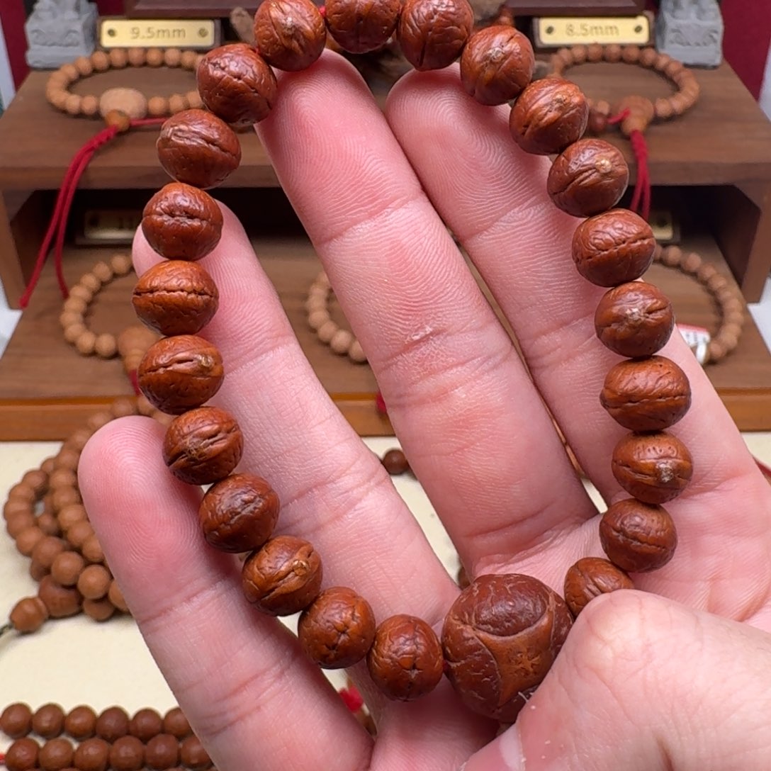 独****吊坠凤眼菩提10尺寸实心籽（回血）