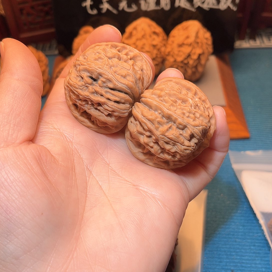 42全品四座楼……菊花底