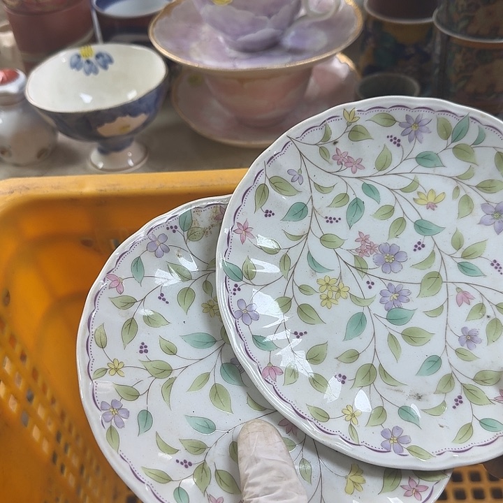 碟开播啦…开播啦