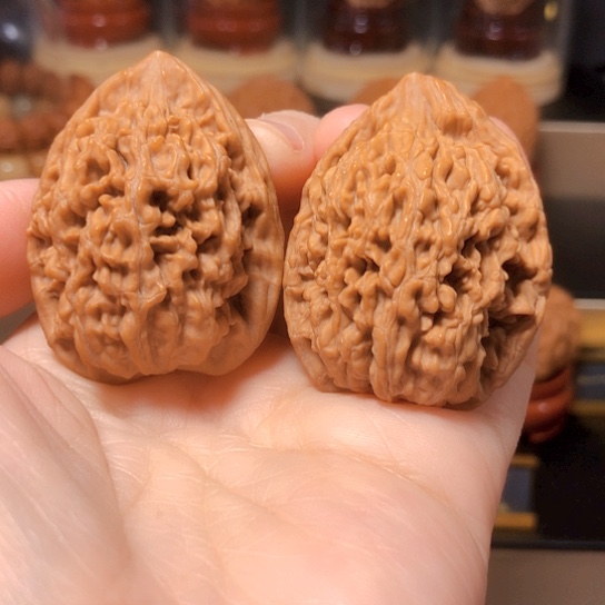 福利款：蚂蚁王全品