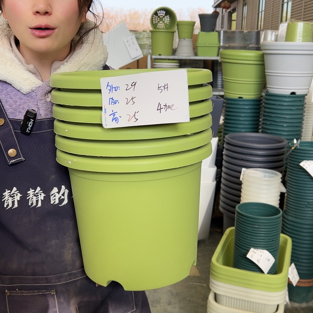 四季盆5#果绿6个无托