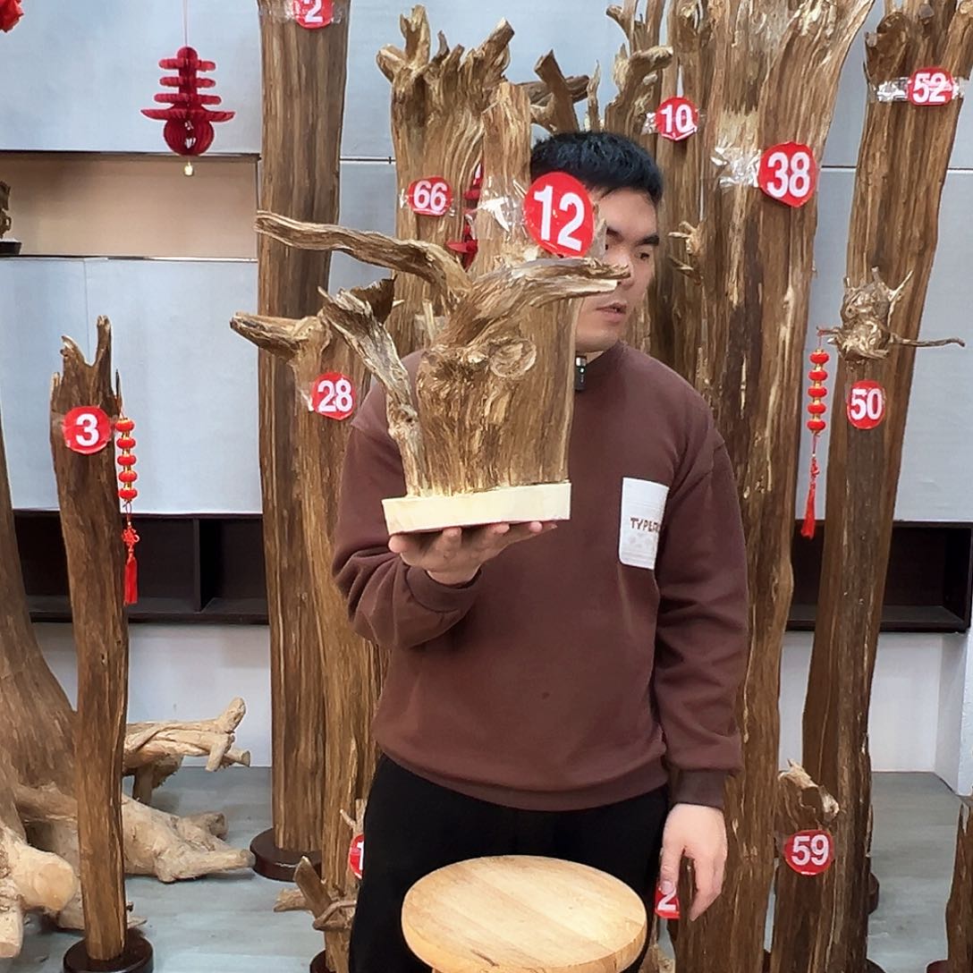 沉香摆件杨**风沉香摆件