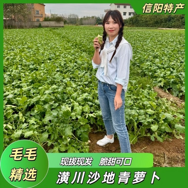 潢川八里沙地青萝卜现拔现发新鲜萝卜生吃脆甜可口愣头青萝卜