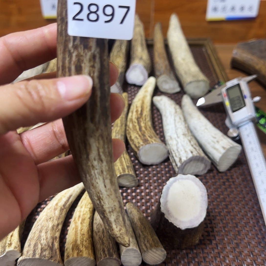 鹿骨手串/手链角尖2897