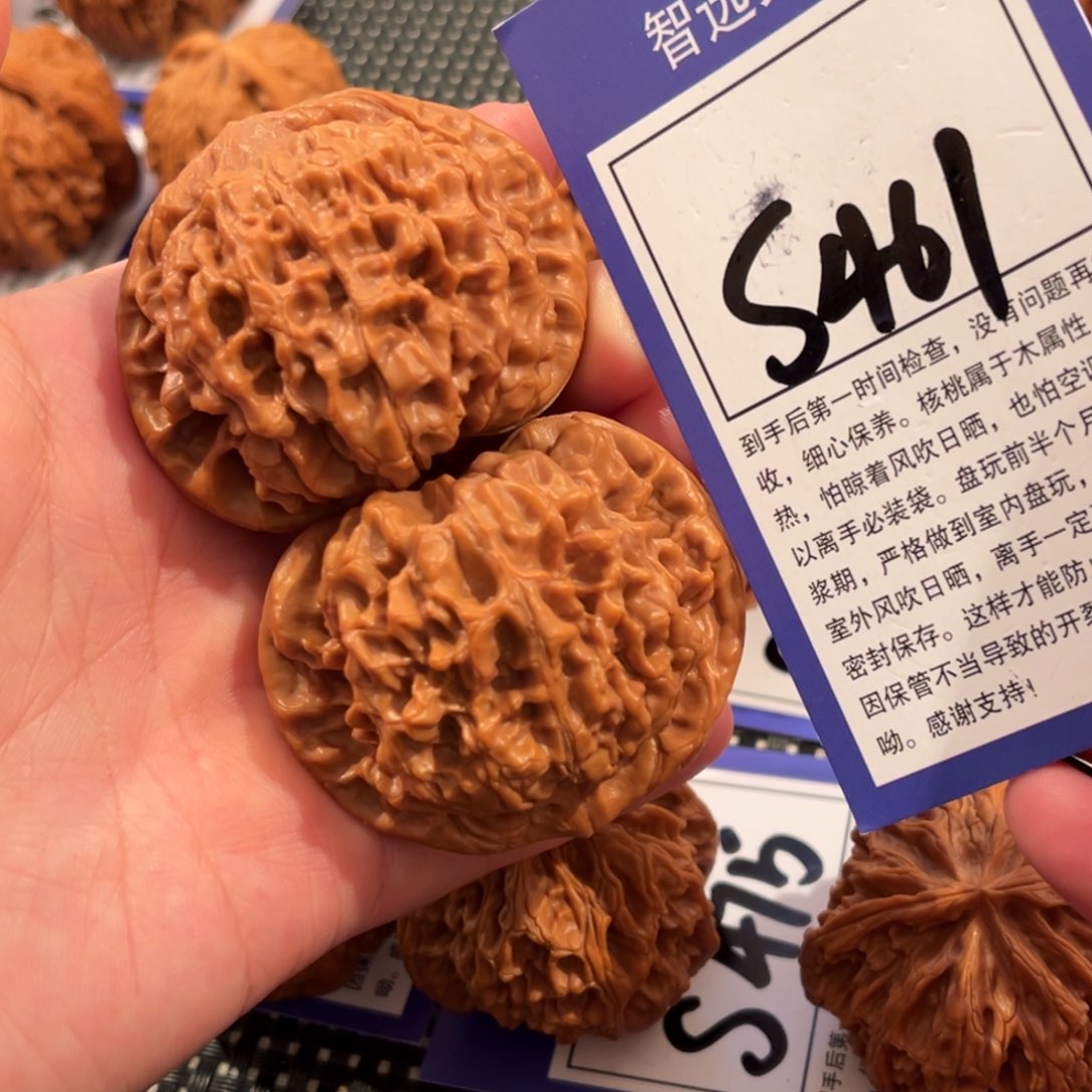 核桃S461号官帽49尺