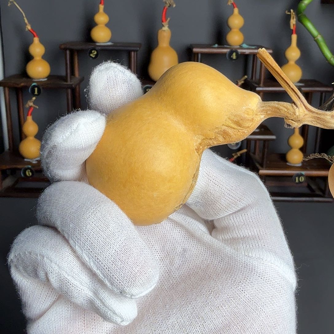 杜**。葫芦葫芦葫芦葫芦葫芦葫芦葫芦