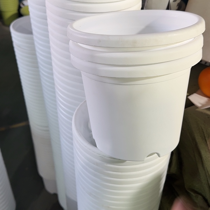 四季3#口径21白色10个无托