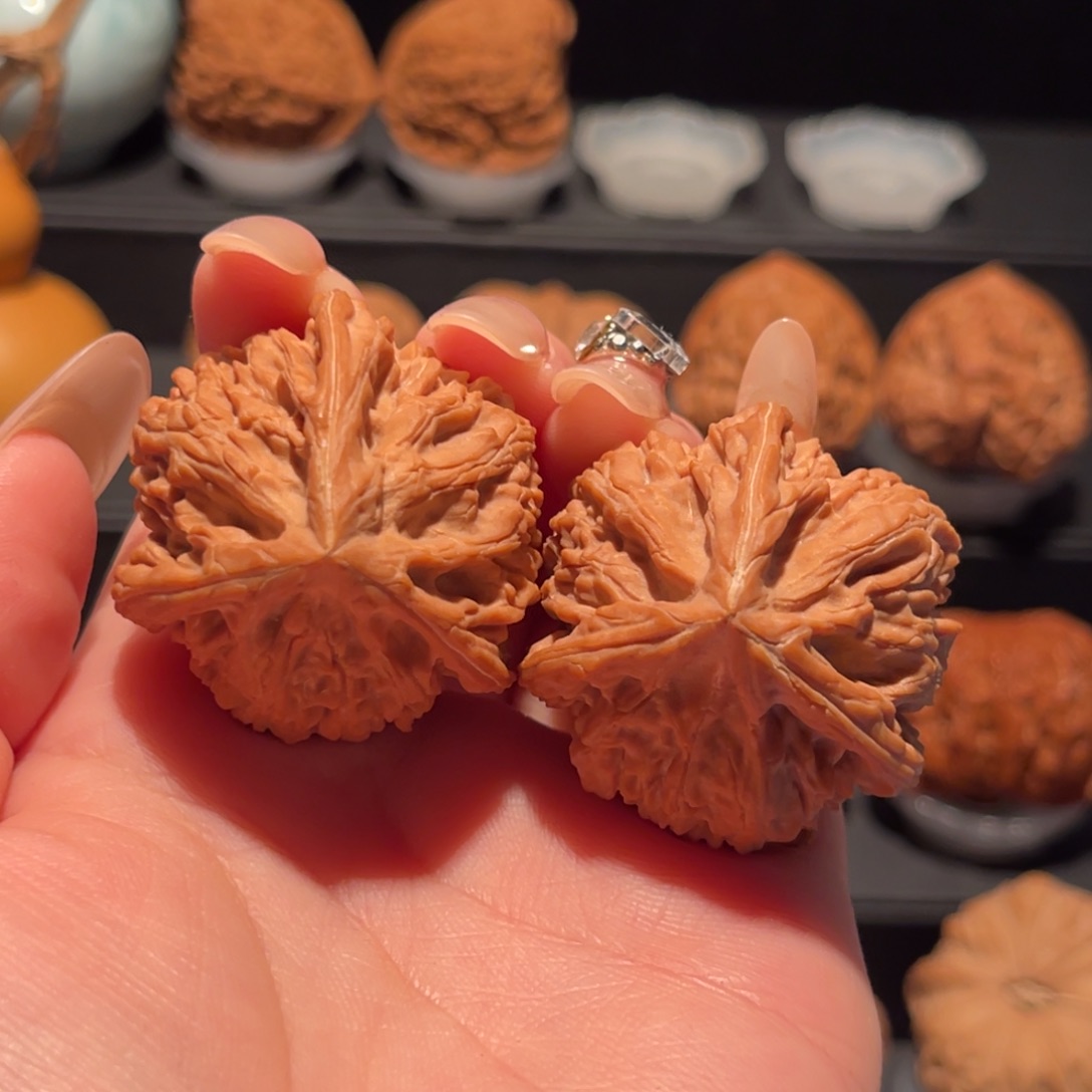 T***c御龙粗筋三棱全品，大漏