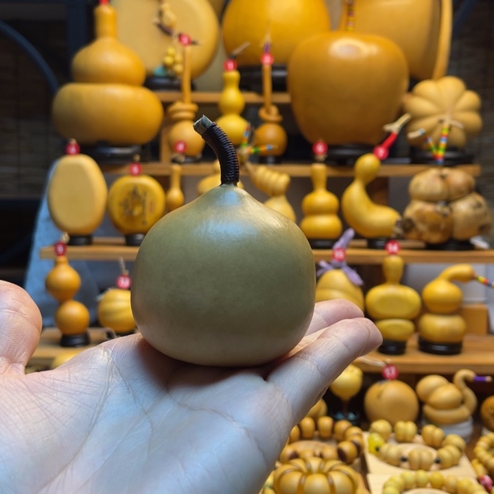 芝***G天然葫芦自然生长