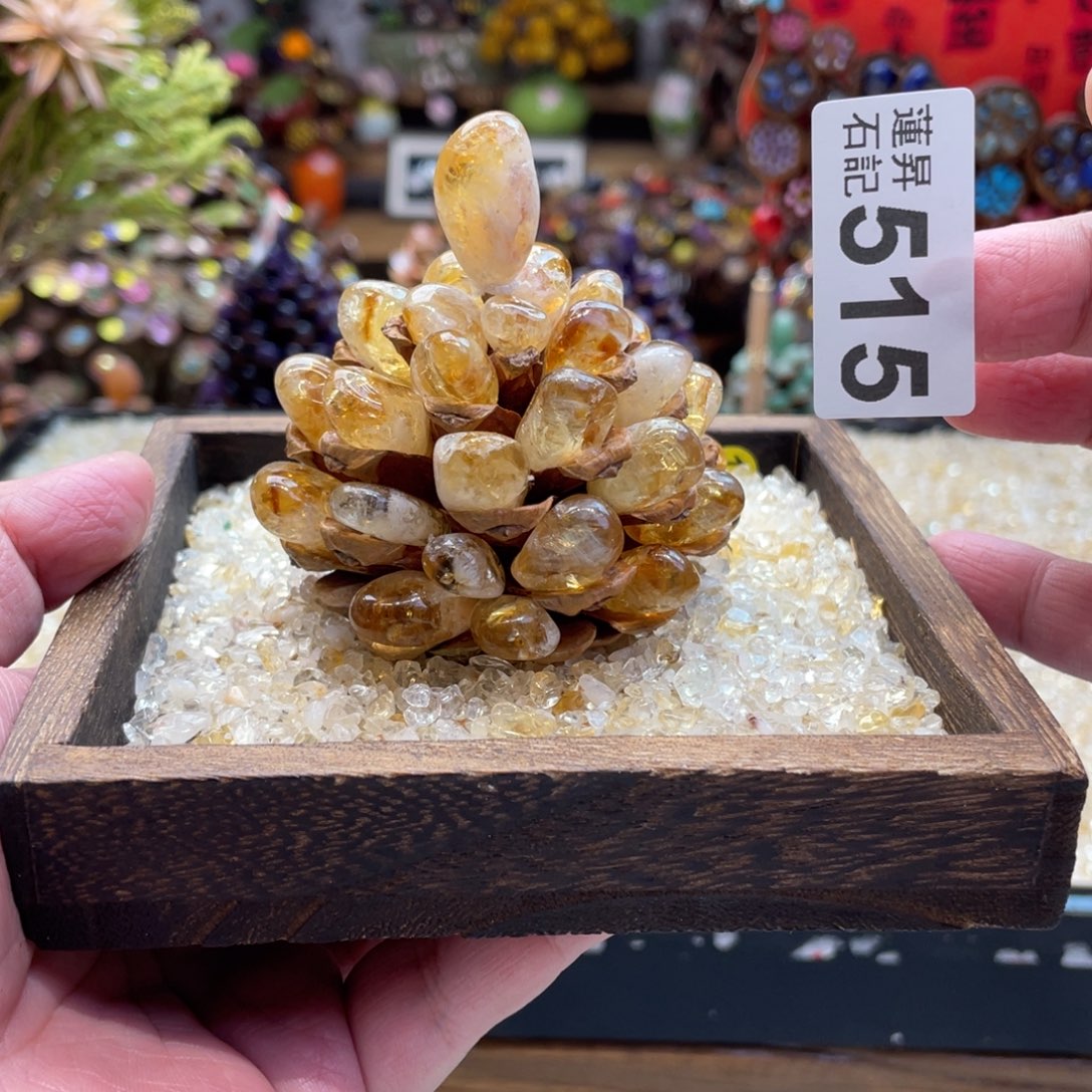 核桃木/黑胡桃（胡桃木）515一套松塔