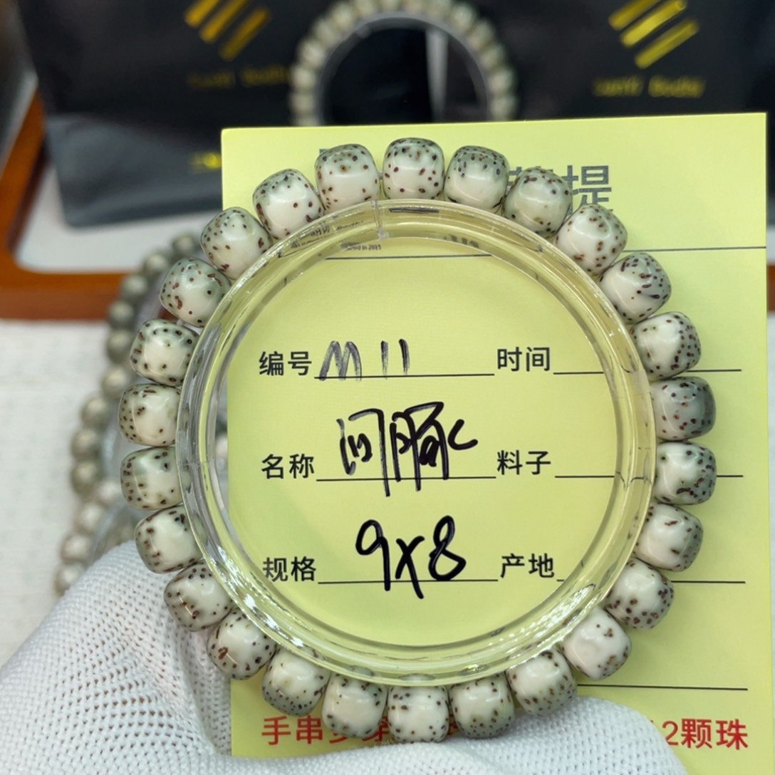 菩提籽类M绿背河豚