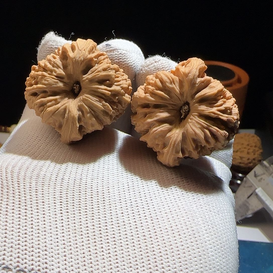 文玩核桃把件宽*觉38柱子