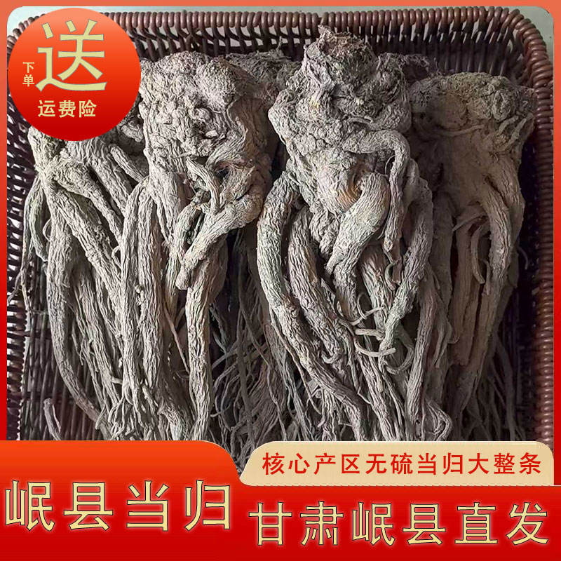 岷县当归中药材正品大整条补气血的中药材无硫熏自然晾晒产地直发