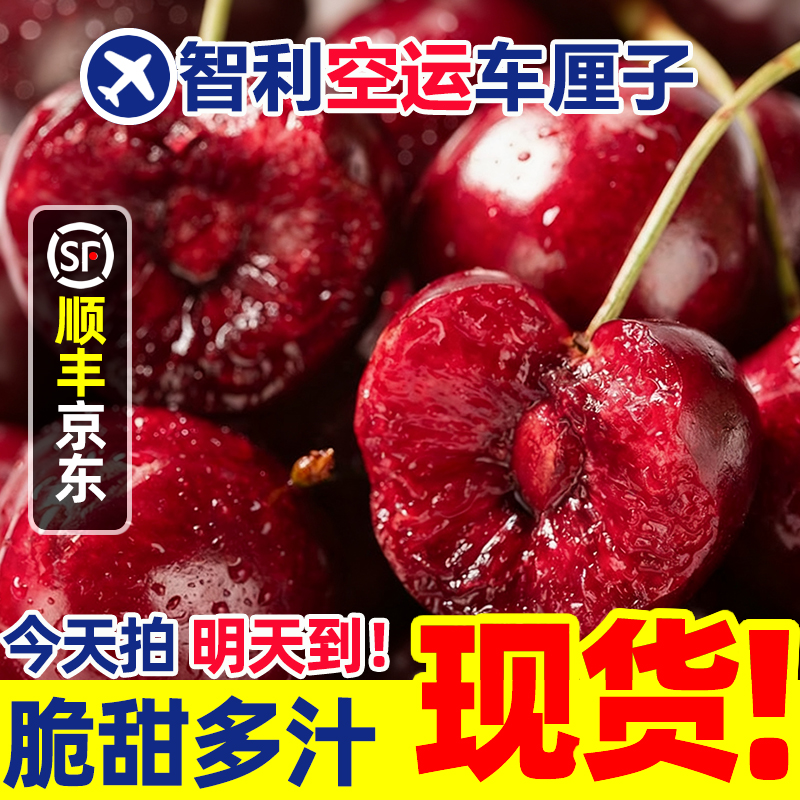 3JDD特大果【今天拍明天到】智利空运车厘子孕妇LF内附果径卡800g桑提娜樱桃智利共和国