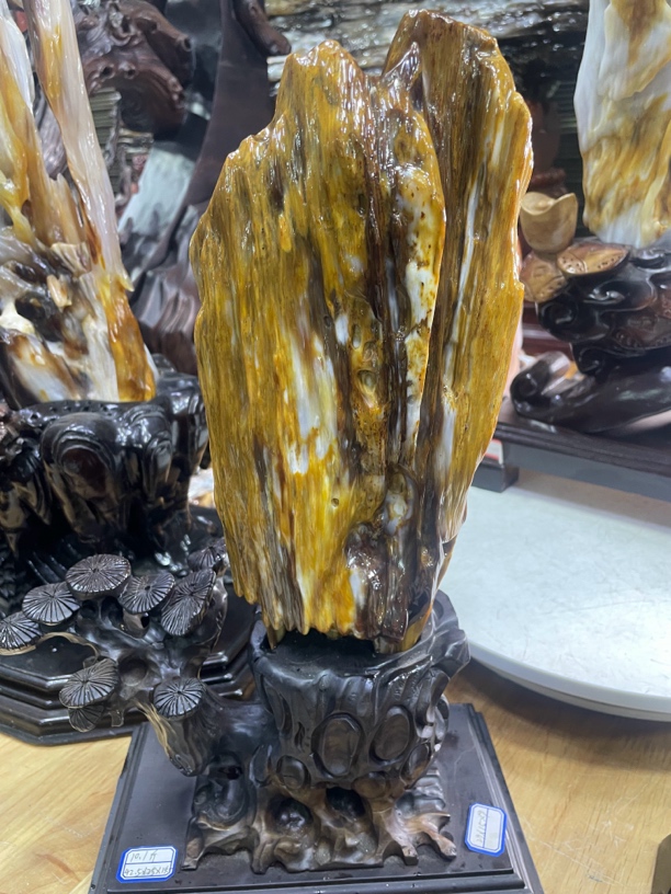 缅甸天然树化玉精品